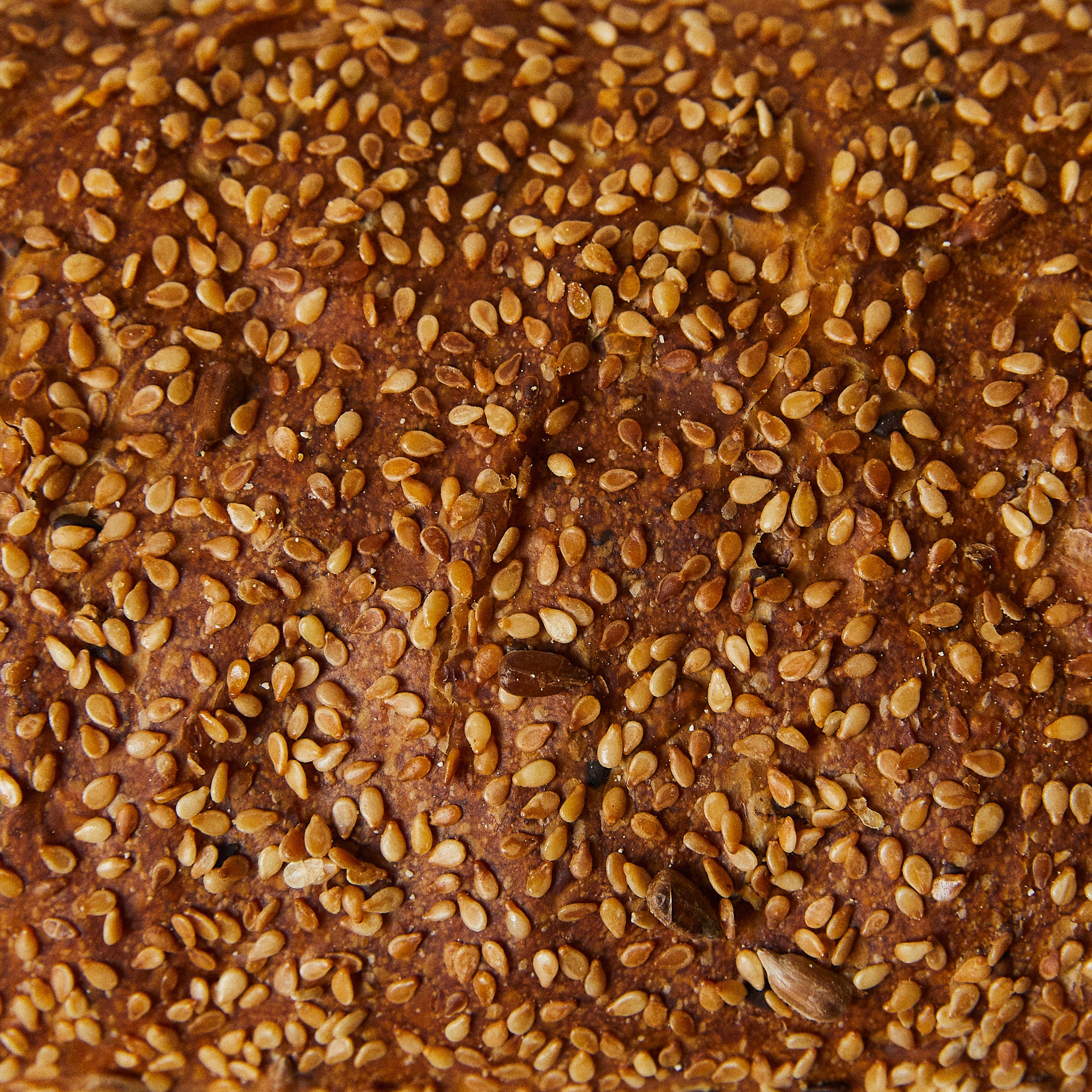 Sesame Tin Large Grain